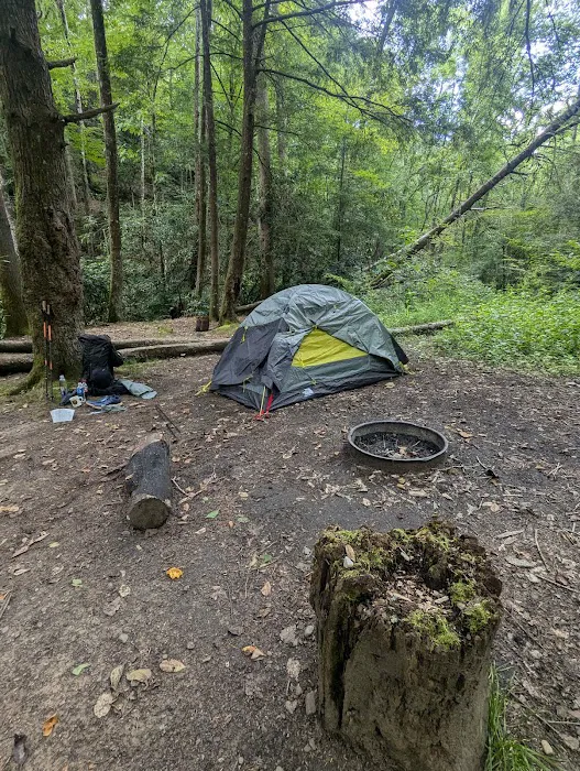 Backcountry Campsite #50 Picture 4