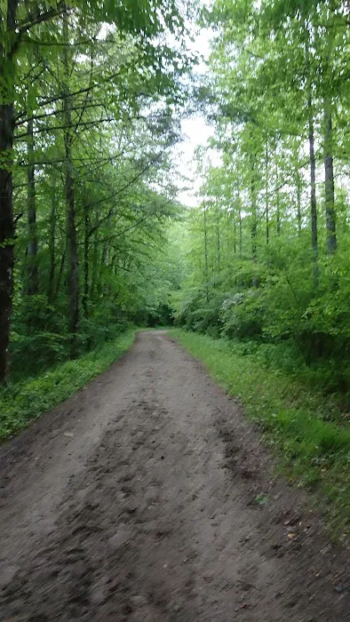 Backcountry Campsite #50 Picture 7