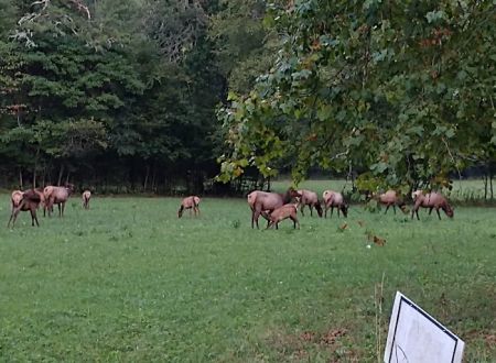 Tow String Horse Camp