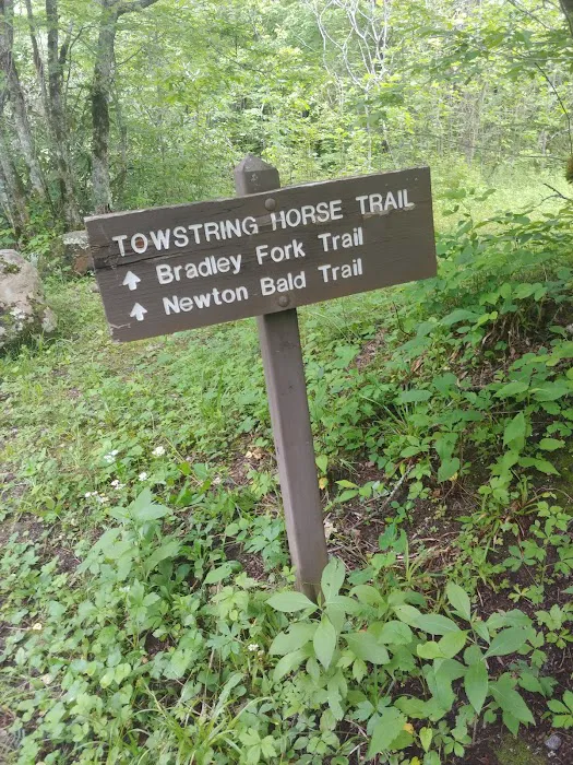 Tow String Horse Camp Picture 8