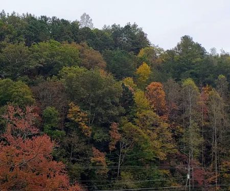 Conleys Creek Campground