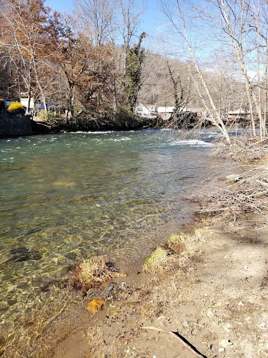 Bradley's Campground & Cabins Picture 9