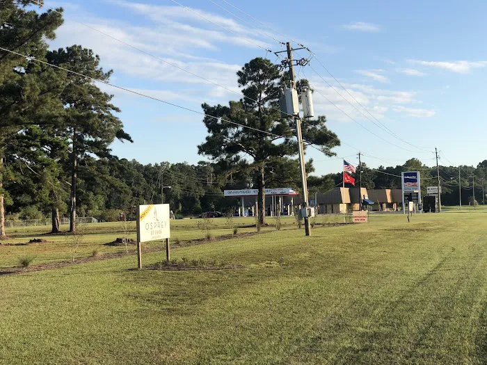 Osprey RV Park Picture 1