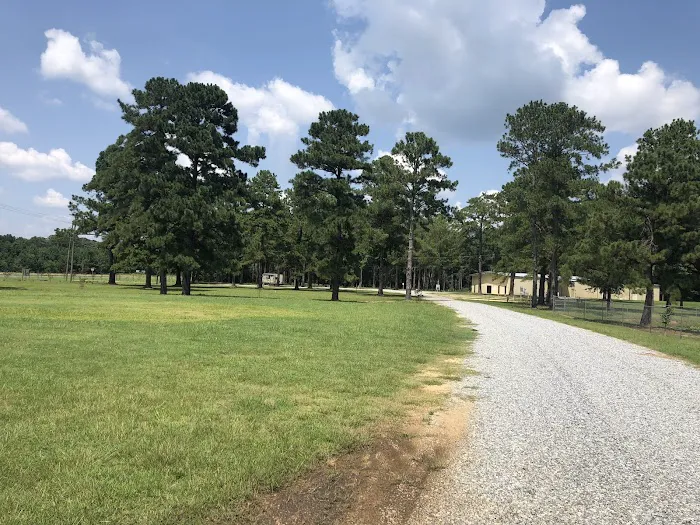 Osprey RV Park Picture 3