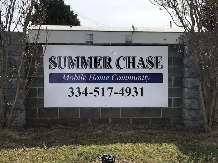 Summer Chase Picture 1