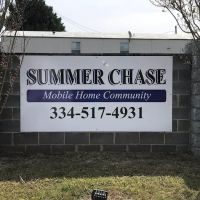 Summer Chase ico