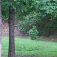 RB trailer park ico