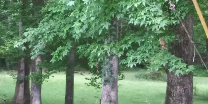 RB trailer park Picture 2