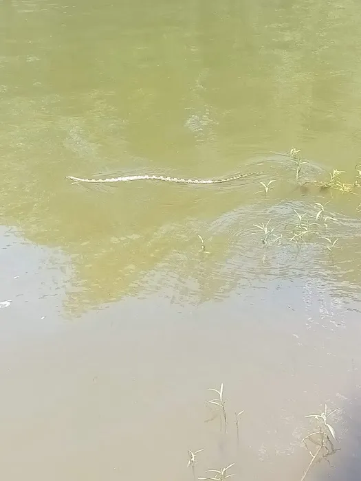Lake Jordan Rv Resort Picture 7