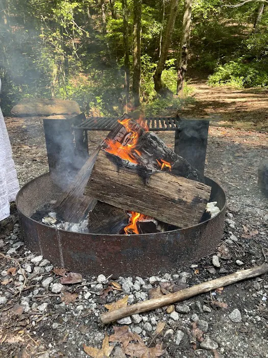 Pioneer Campground Picture 9