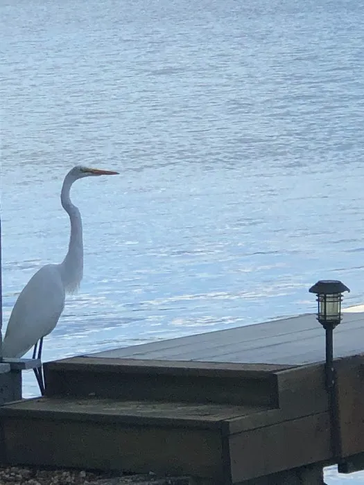 Six Pier Landing Picture 9