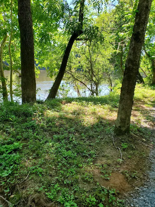 Camp Sherrye on the Coosa Picture 4