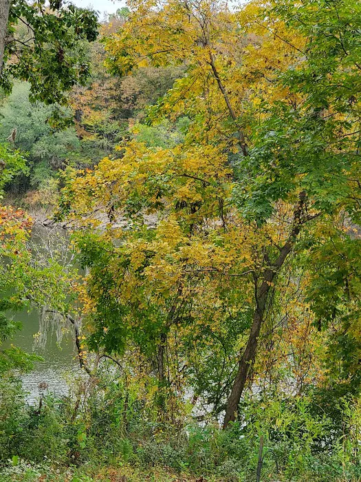 Camp Sherrye on the Coosa Picture 9