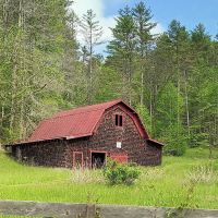 Hurricane Creek Primitive Campground ico