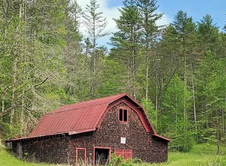 Hurricane Creek Primitive Campground
