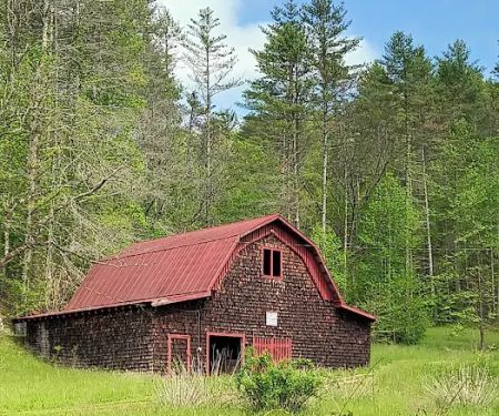 Hurricane Creek Primitive Campground