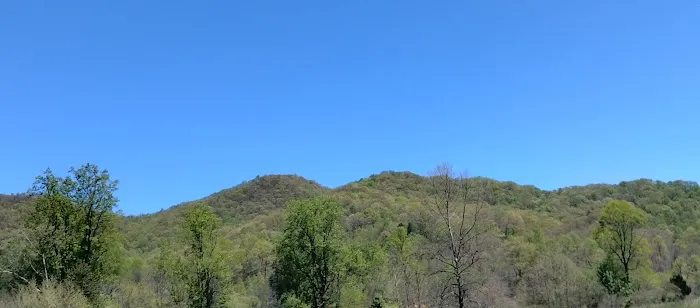 Hurricane Creek Primitive Campground Picture 7