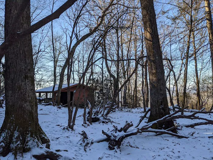 Carter Gap Shelter Picture 2