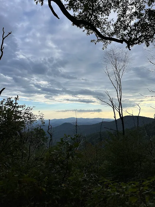 Carter Gap Shelter Picture 5