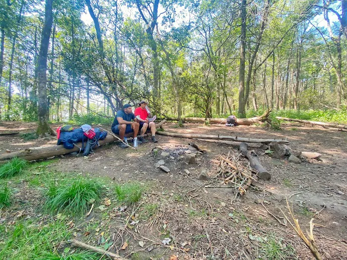 Carter Gap Shelter Picture 9