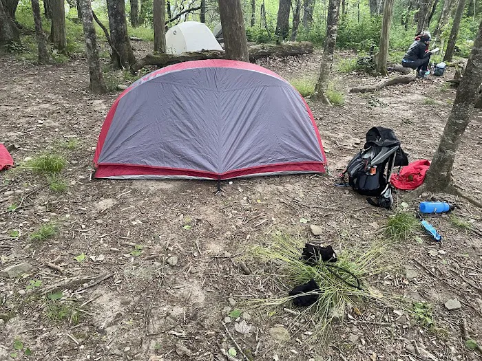 Carter Gap Shelter Picture 8