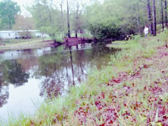 Ed's Mobile Home Park Picture 3