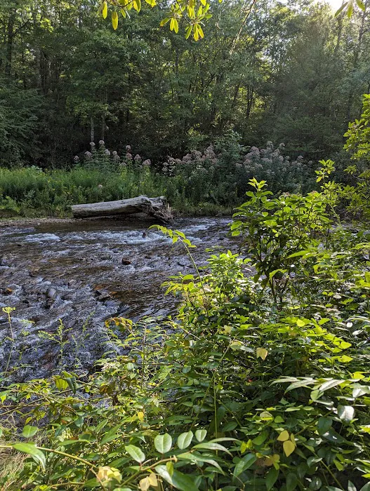 Standing Indian Campground Picture 1