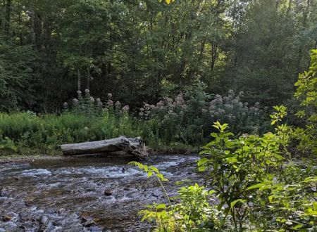 Standing Indian Campground