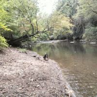 Nichols Campground ico