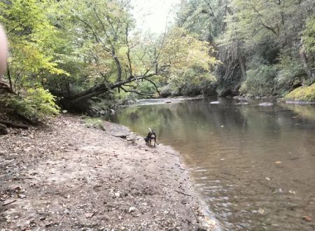 Nichols Campground