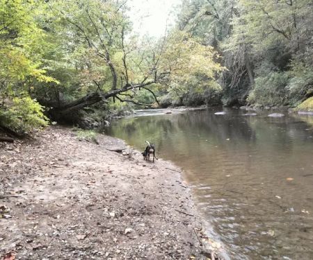 Nichols Campground