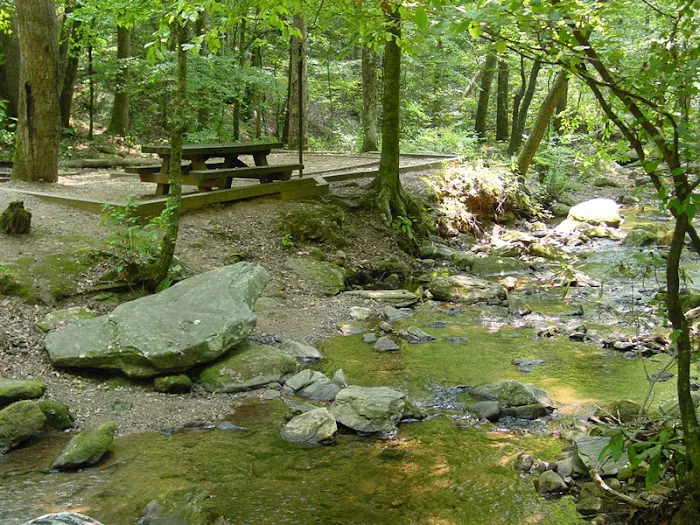 Tallulah River Campground Picture 2