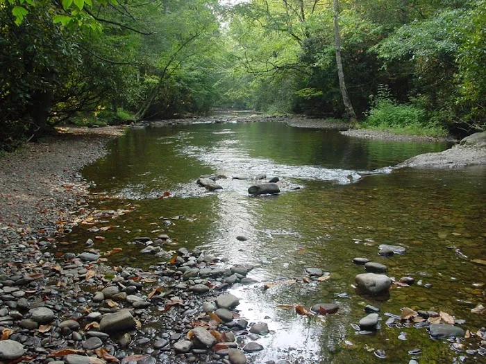 Tallulah River Campground Picture 4