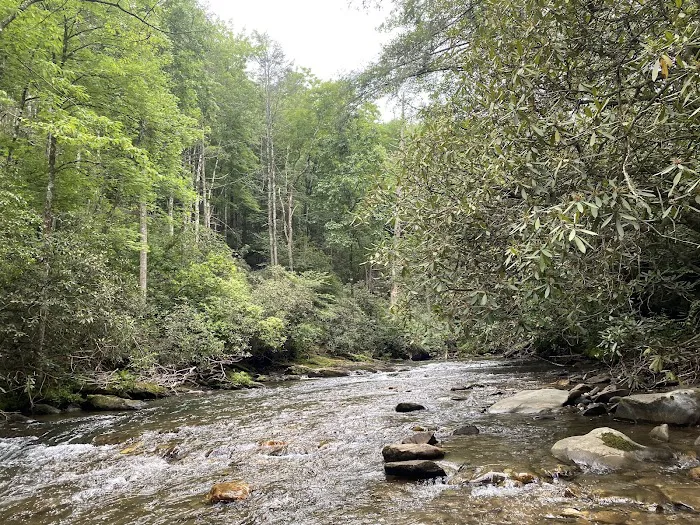 Tallulah River Campground Picture 7