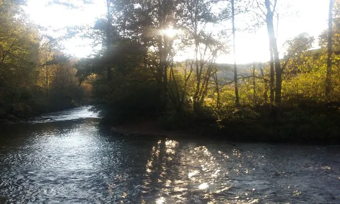 Primitive River Experimental Farm/Recreation/Events Venue Picture 7