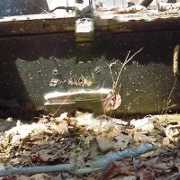 Tate Branch Campground ico