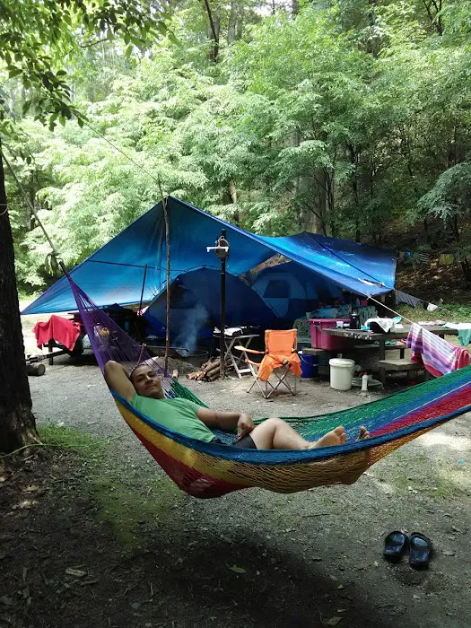 Tate Branch Campground Picture 7