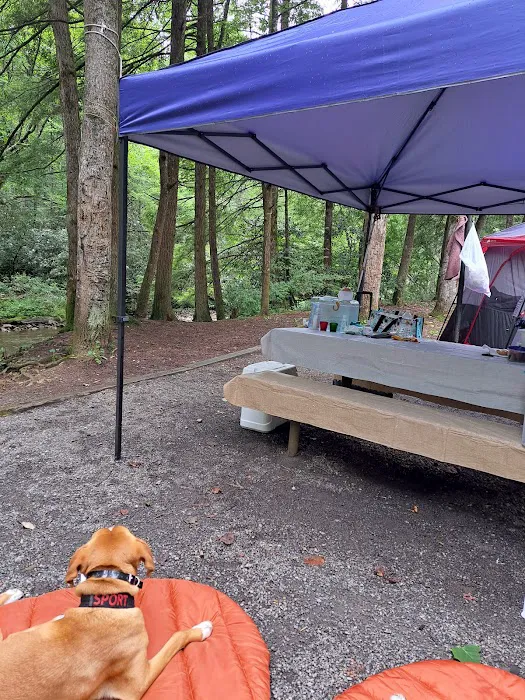 Sandy Bottoms Campground Picture 3