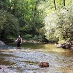 Sandy Bottoms Campground