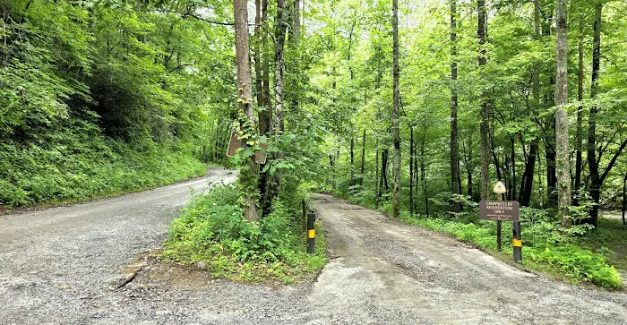 Sandy Bottoms Campground Picture 6
