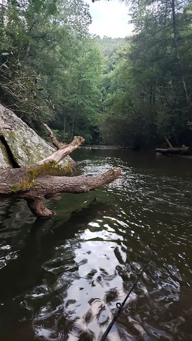 Sandy Bottoms Campground Picture 4