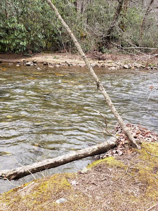 Sandy Bottoms Campground Picture 9
