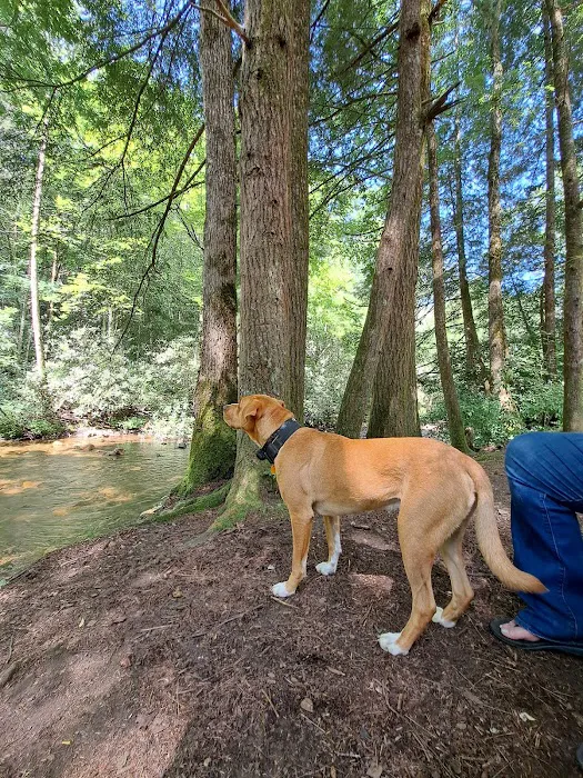 Sandy Bottoms Campground Picture 10