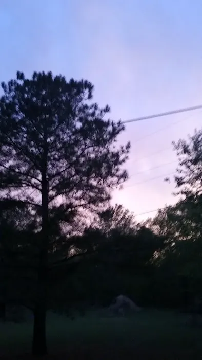 Trailer Park Picture 3