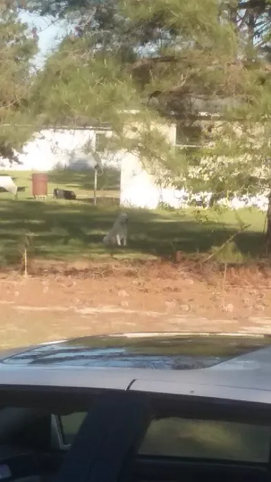 Trailer Park Picture 1