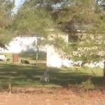 Trailer Park