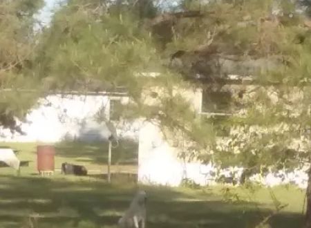 Trailer Park
