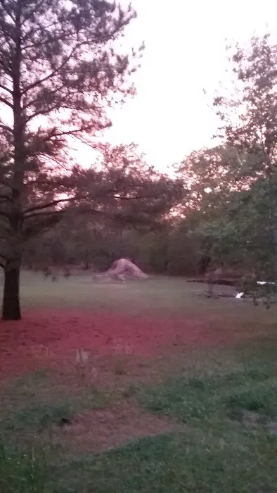 Trailer Park Picture 6