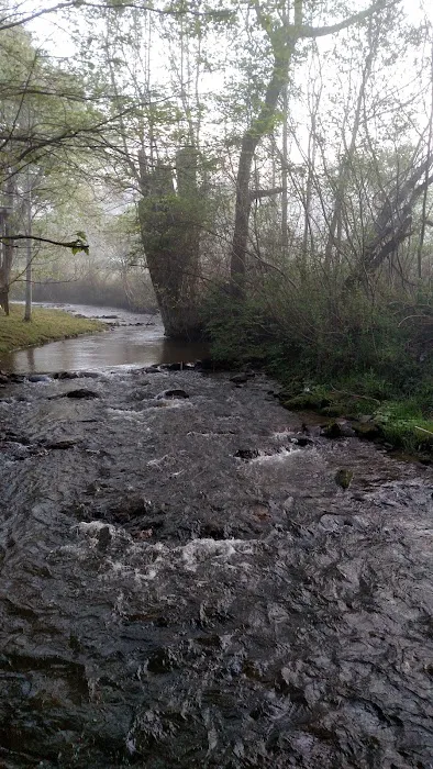 Cooper Creek Campground Picture 5
