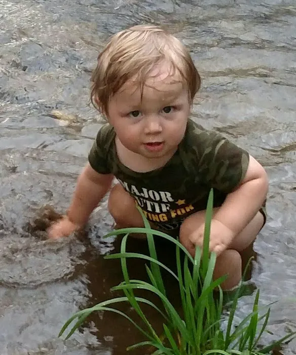 Cooper Creek Campground Picture 9